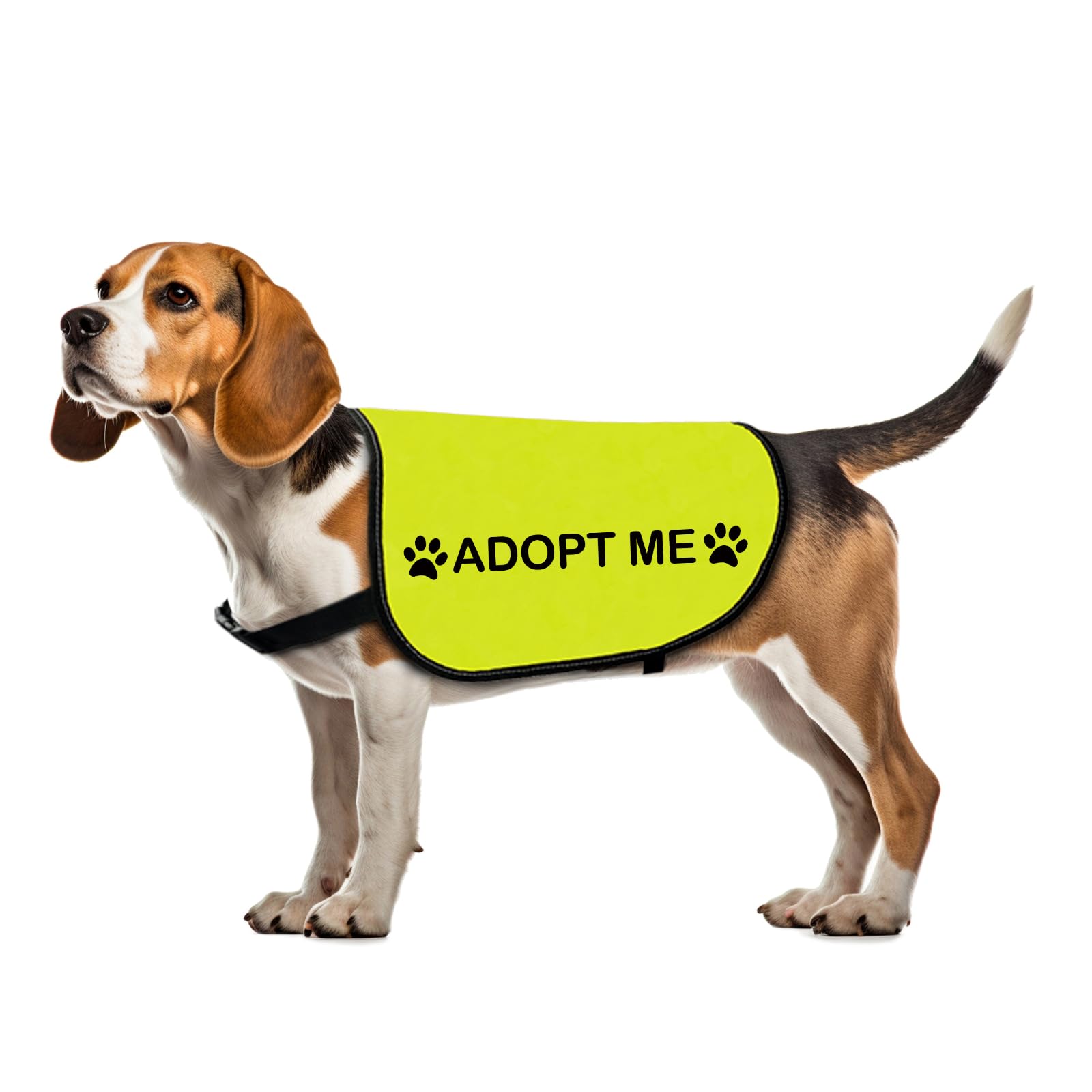 Rescue Dog Jacket Vest Adopt Me Vest Foster Dog Slogan (Adopt Me-Medium)