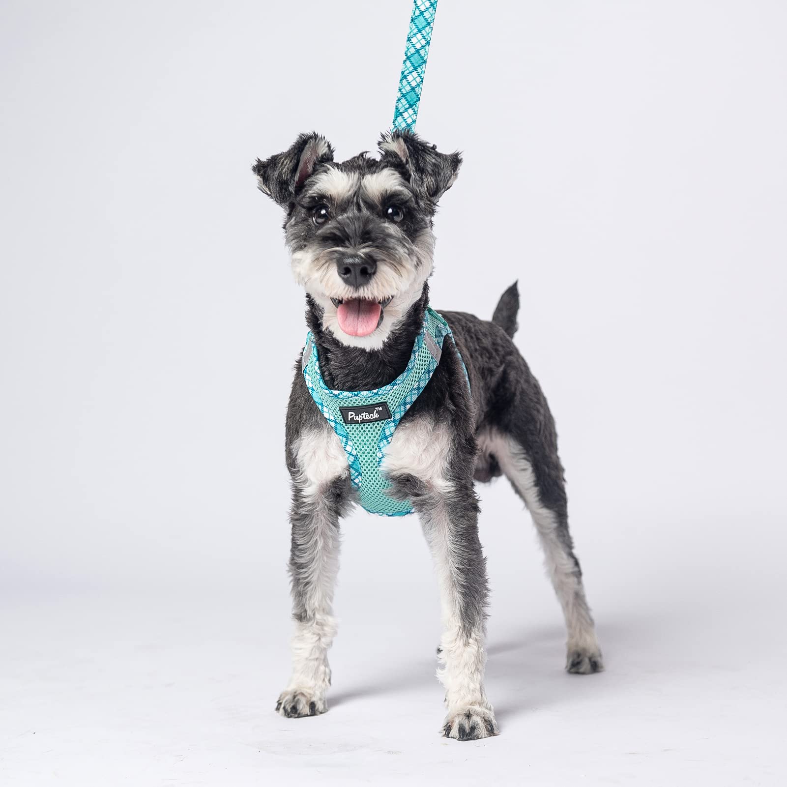 Pupteck Dog Harness And Leash Set For Small Medium Dogs No Pull Step-In Soft Mesh Puppy Cat Vest Harnesses Reflective At Night, Green Xs