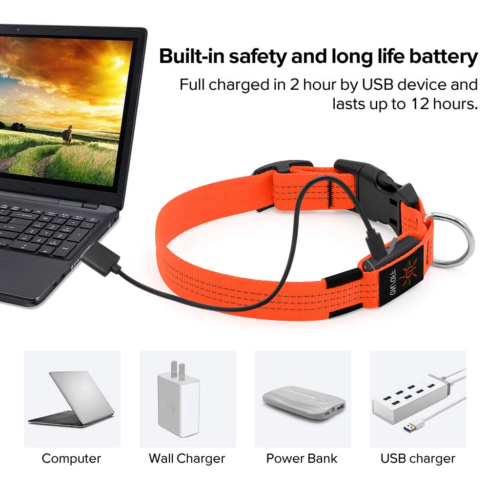 Illumifun Led Dog Collar, Usb Rechargeable Led Collar For Dogs Glow In The Dark, Reflective Light-Up Collar Make Your Dogs Safe& Seen At Night (Orangeⅲ, Small)