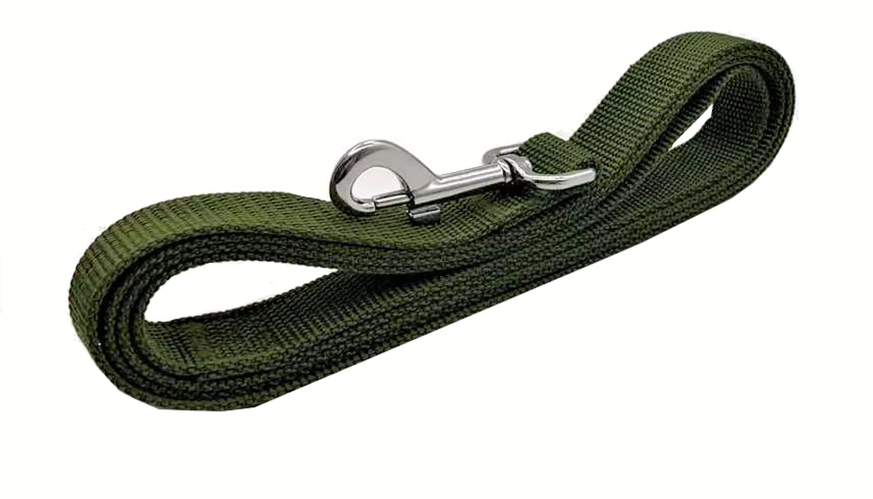 Taian 4Ft/5Ft/6Ft Strong Dog Leash, Nylon Dog Leashes For Small Medium Large Dogs (1 In X 5 Ft, Green)