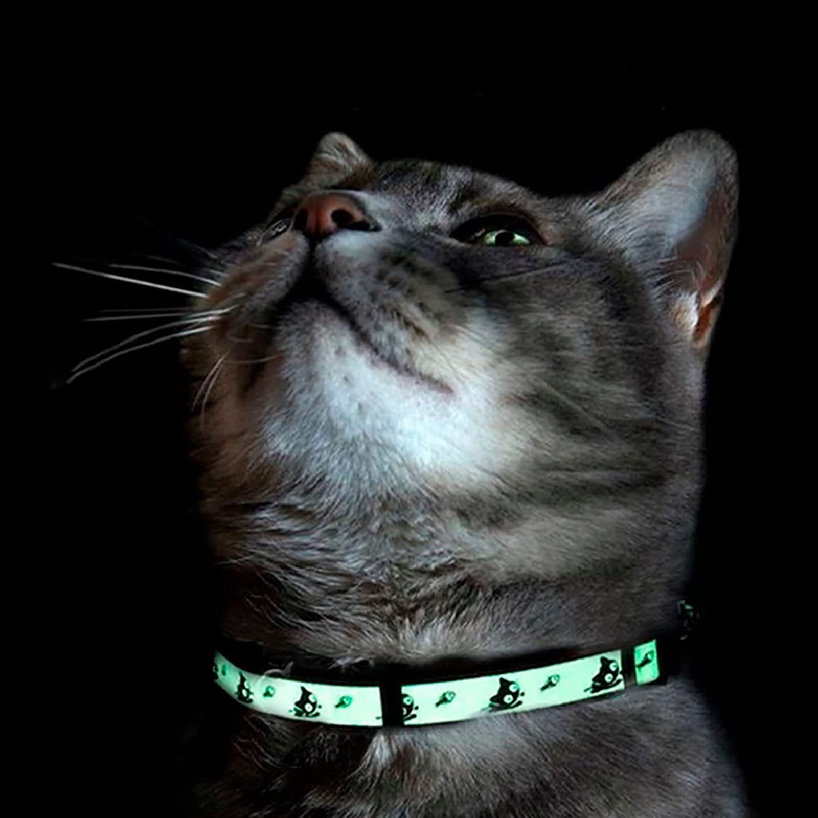 Pawtitas Glow In The Dark Cat Collar With Safety Buckle And Removable Bell Cat Collar Kitten Collar Green Cat Collar