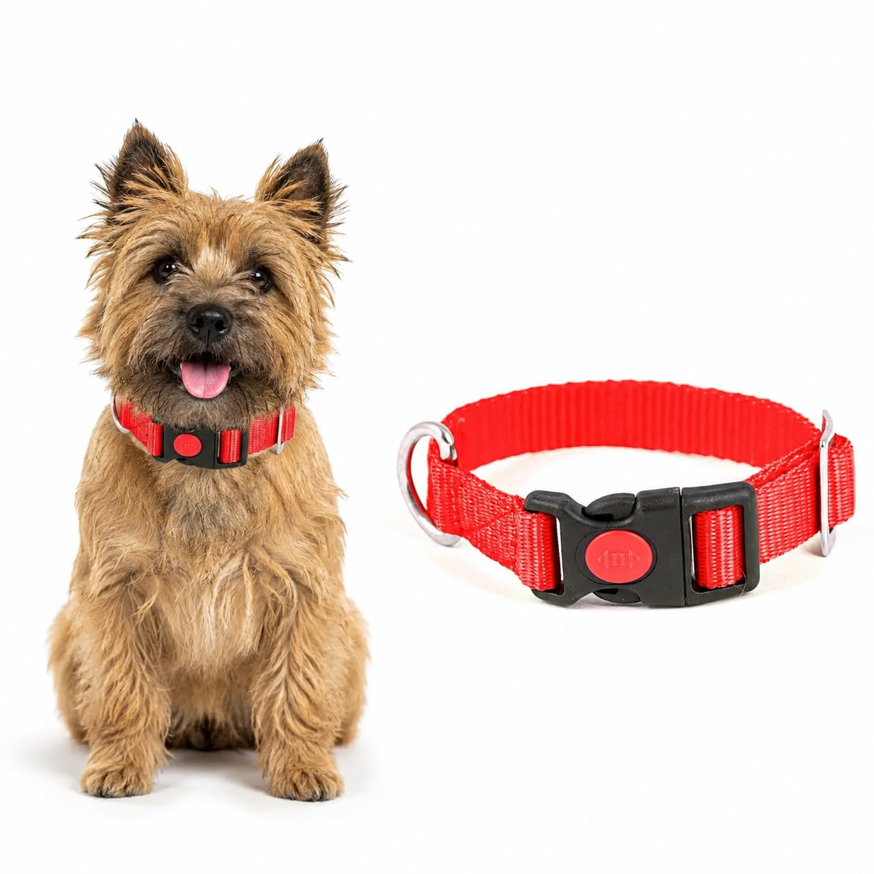 AdilS Adjustable 0.7 Inch Nylon Dog & Cat Collar  Suitable For Small & Medium Sized Dogs, Cats & Rabbits With Quick Release St