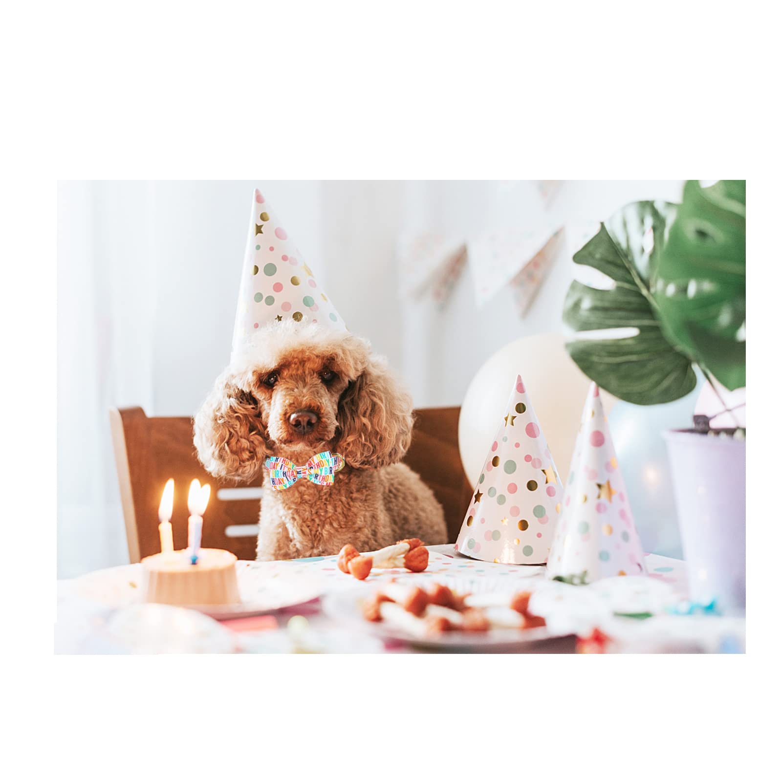 Unqiue Style Paws Birthday Dog Collar, Soft And Cute Dog Bow Tie, Durable Pet Collar With Bow Adjustable Bow Dog Collar For Medium Dogs