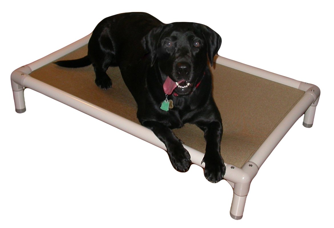 Kuranda Chewproof Bed - Almond PVC - 35'' x 23'' - Heavy Duty Vinyl - Forest