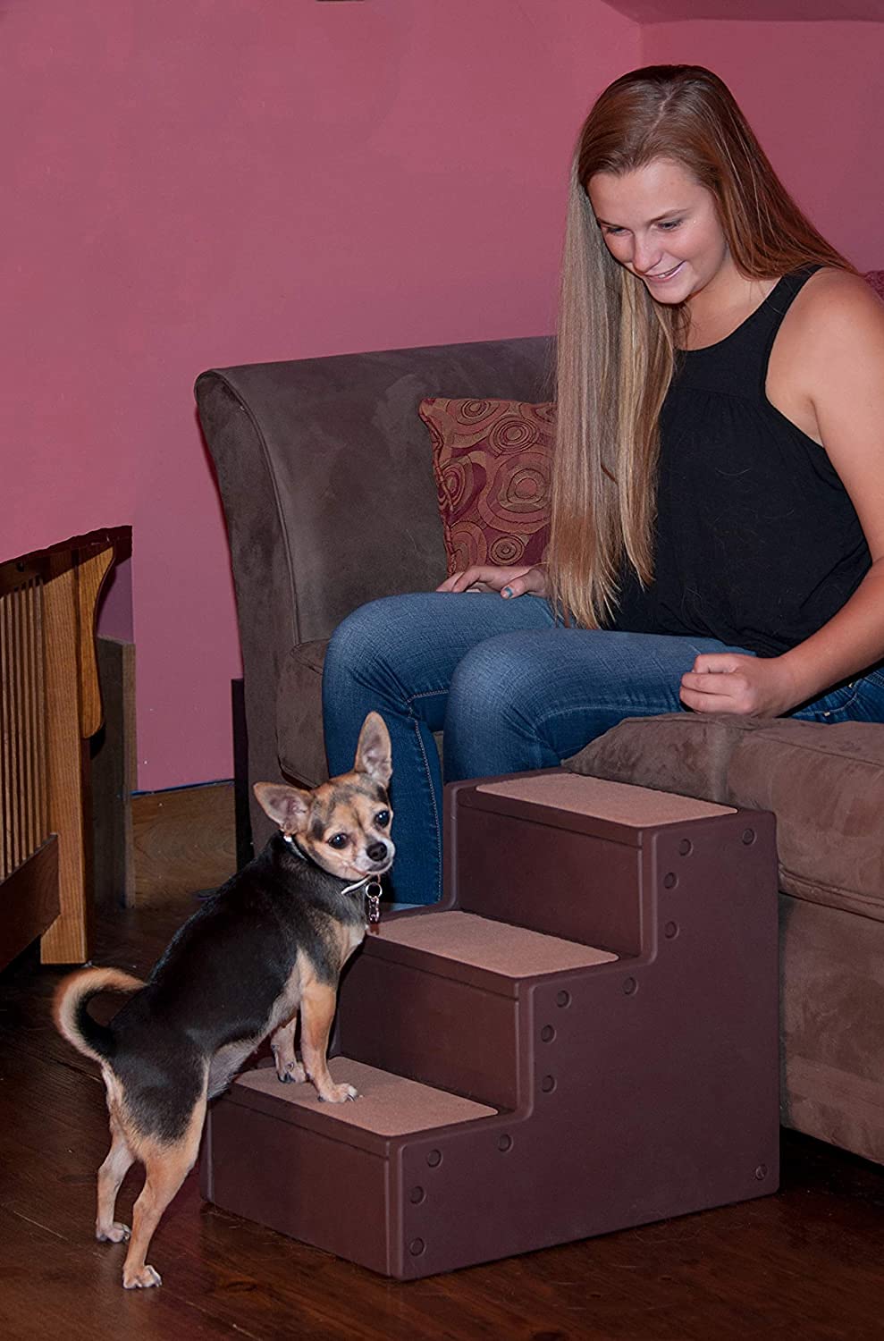 Pet Gear Pet Step Iii Pet Stairs For Small Dogs And Cats Up To 50 Pounds, Lightweight, No Tools Required