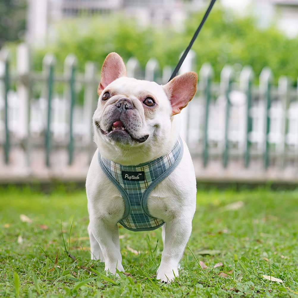 Pupteck Soft Mesh Dog Harness And Leash Set Pet Puppy Cat Comfort Padded Vest No Pull Harnesses, Sky Blue, S