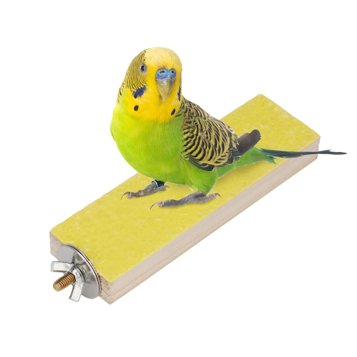 Hypeety Parrot Wooden Perch Platform Playground Macaw African Greys Budgies Parakeet Cockatiels Conure Macaw Finch Cage Shelf Toy Cage Accessories（Random Color） (A)