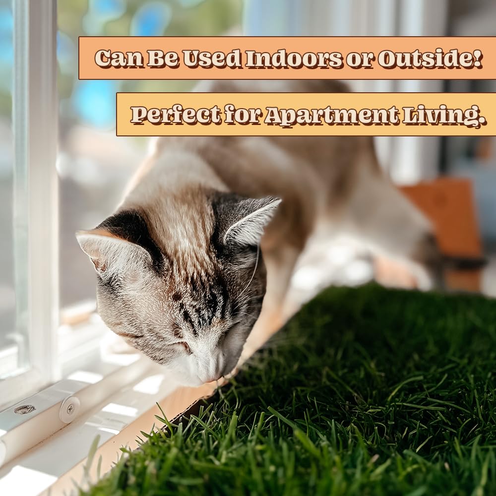 Cat Real Grass Window Bed Perch, Real Grass Cat Window Lounge Bed, Indoor Real Grass Window Bed Perch For Cat, Window Perch For Small And Large Cat, Cat Window Seat Bed For Windowsill And Bedside