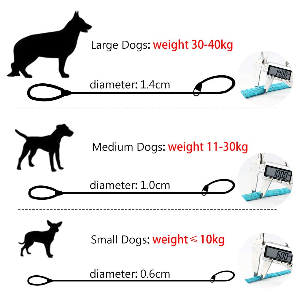 Grand Line Slip Lead Dog Leash, 5Ft Reflective Slip Rope, Puppy Training Walking Controlling Lead, Slip Collar Pet Leash For Small, Medium, Large Dogs (Blue, Large-3/5In X 5Ft)