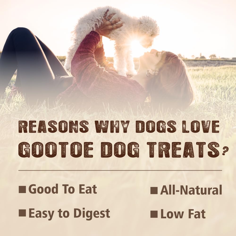 Gootoe Turkey Tendon Dog Treats, Braid (M) 1 lb, 100% USA Sourced Turkey, Natural Snack, Premium Puppy Chews, Hypoallergenic, Ra