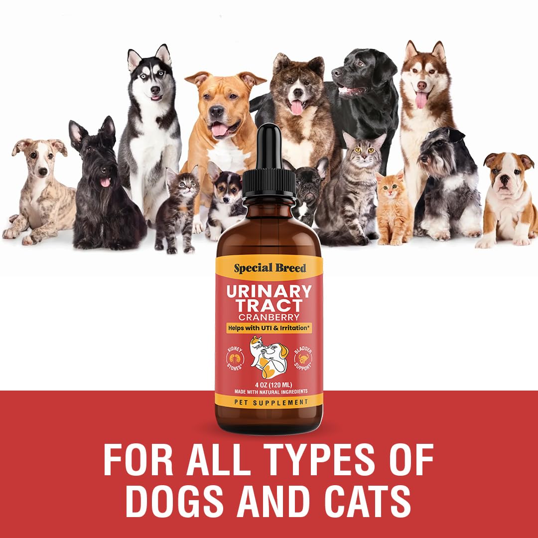 Special Breed Cat & Dog Urinary Tract Infection Treatment - Cranberry Liquid Drops, 4 Oz for Kidney & Bladder Health, Clear