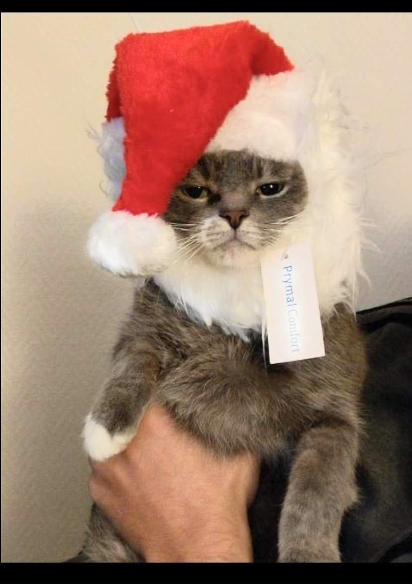 Prymal Comfort Santa Dog Cat Costume