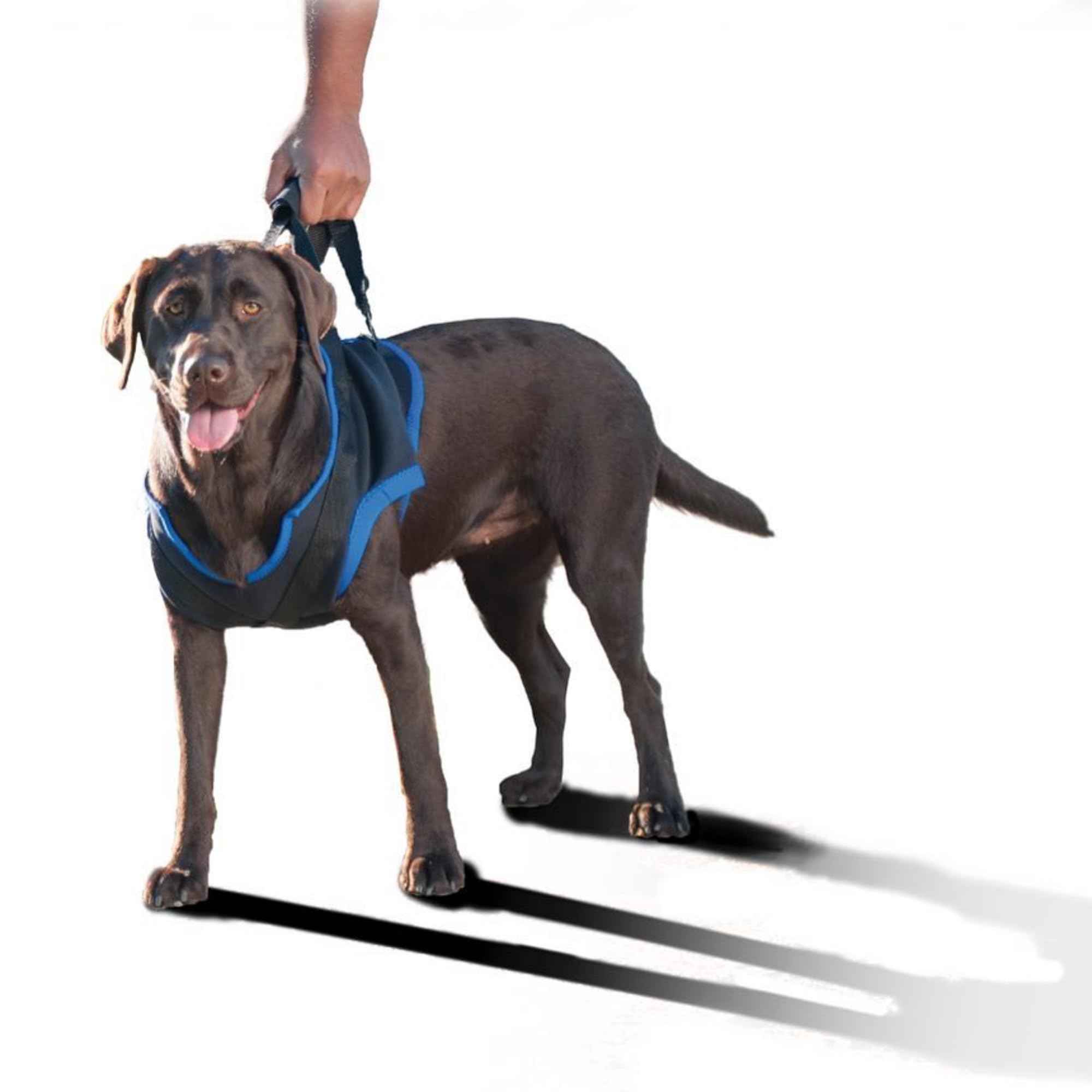 Walkabout Front Harness (Large 30-38'