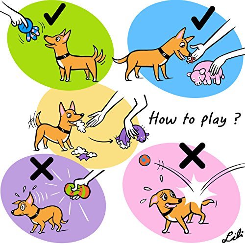 CHIWAVA 3PCS Dog Toy Footballs - 2.7" Chew & Fetch Balls for Medium Dogs, Natural Rubber, Yellow/Red/Purple