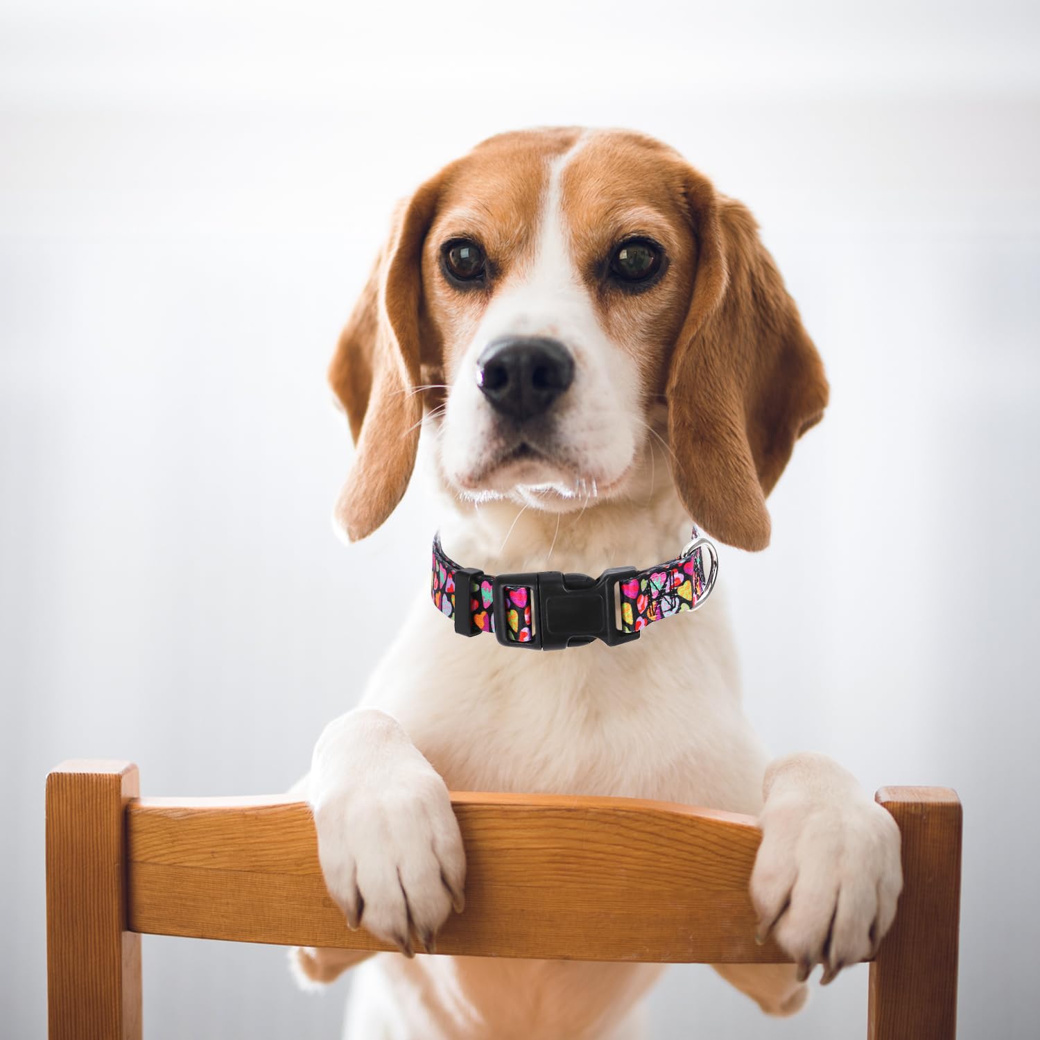 Dog Collar For Medium Dogs With Love Hearts, Pink Girl Boy Dog Collar Adjustable Comfy Wedding Dog Collar With Safety Buckle For