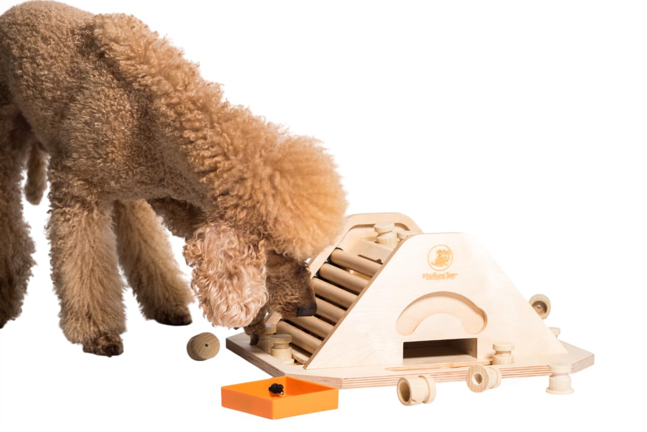 My Intelligent Dogs Pyramid - Brain Game for Dogs, Interactive Wooden Puzzle Toy for Mental Stimulation, Boredom Buster for Smar