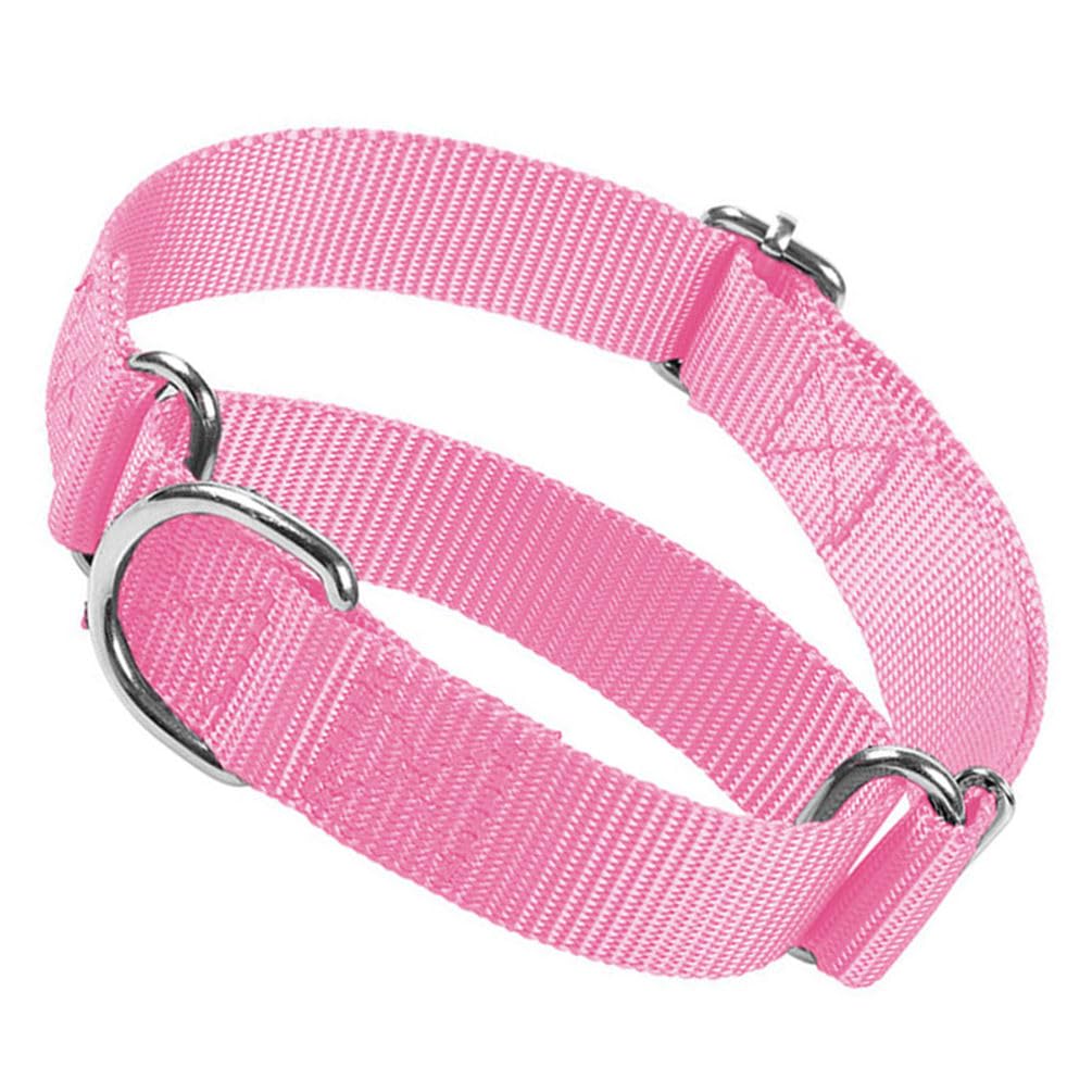 Martingale Collar For Dogs, No Pull Choke Dog Collar Escape Proof Cinch Dog Training Collars Adjustable For Small Medium Large B