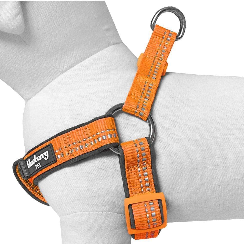 Blueberry Pet Soft & Comfy 3M Reflective Step-in Pastel Color Padded Dog Harness, Chest Girth 16.5 - 21.5, Orange Peel, Small, A