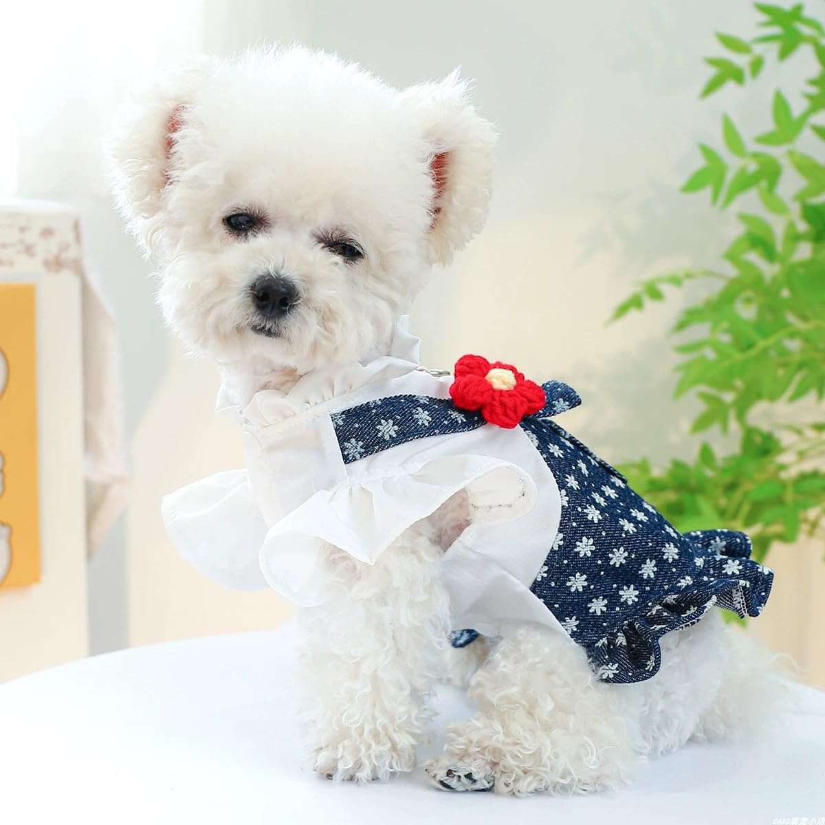 Harikaji Pet Dress, Sweet Denim Floral Small Dog Skirt Girl Tutu Clothing Puppy Cat Apparel Teddy Clothes Wedding Dresses For Sp