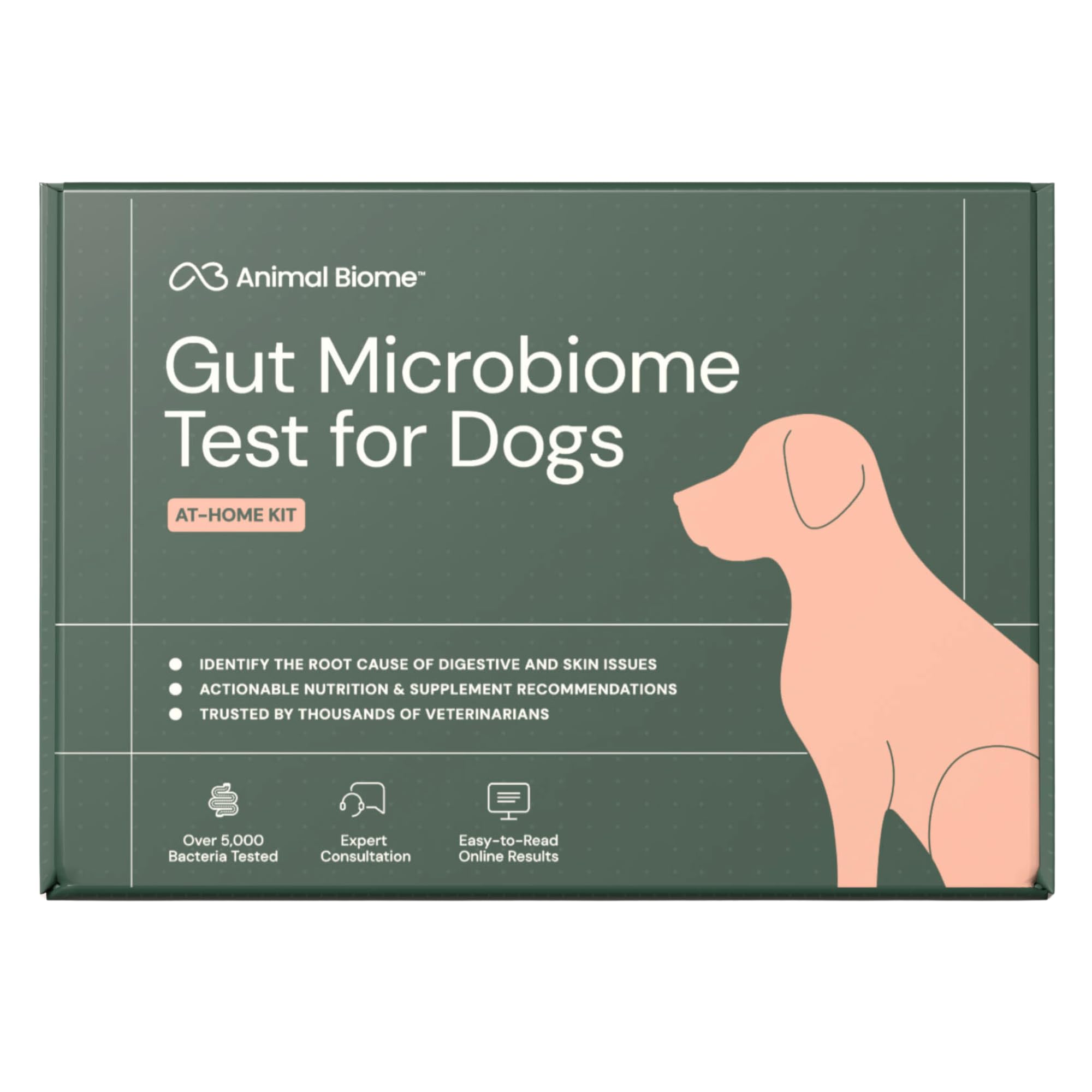 AnimalBiome Dog Gut Health Microbiome Analysis Kit - Doggy Biome Gut Testing Kit, Canine Fecal Analysis for Digestive Issues, Di