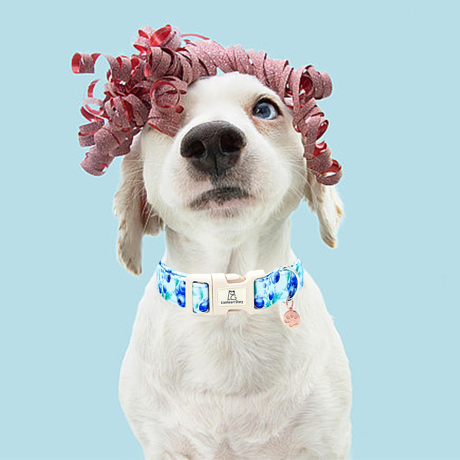 Lionheart Glory Dog Collar Blueberries Print Collar For Medium Dogs Spring Summer Female Or Male Collars Pets Gift Adjustable He
