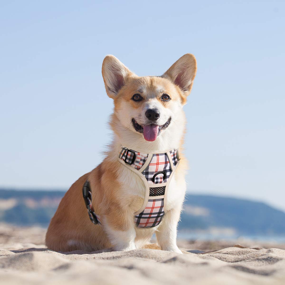 Poypet No Pull Dog Harness, [Release On Neck] Reflective Adjustable No Choke Pet Vest With Front & Back 2 Leash Attachments(Chec