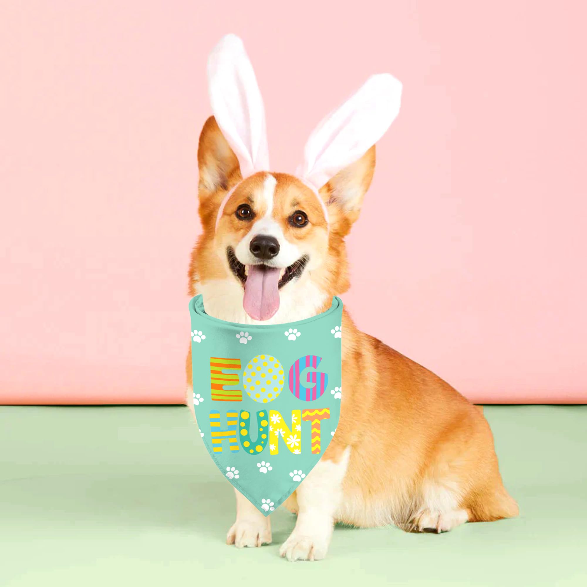 Easter Dog Bandanas 2 Pack, Hip Hop Egg Hunt Dasiy Paws Dog Scarfs For Boy And Girl, Pet Scarves For Easter Day Holiday Neckerch