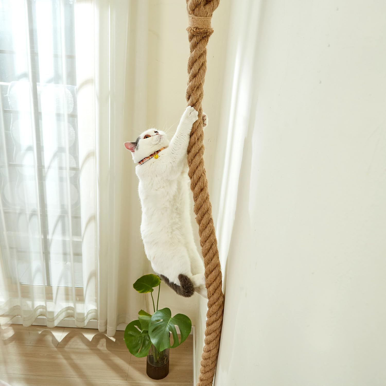 SHENGOCASE Cat Climbing Jute Rope 6.56Ft with Hook, Wall Mounted Furniture for Indoor/Outdoor, Durable Cardboard Material