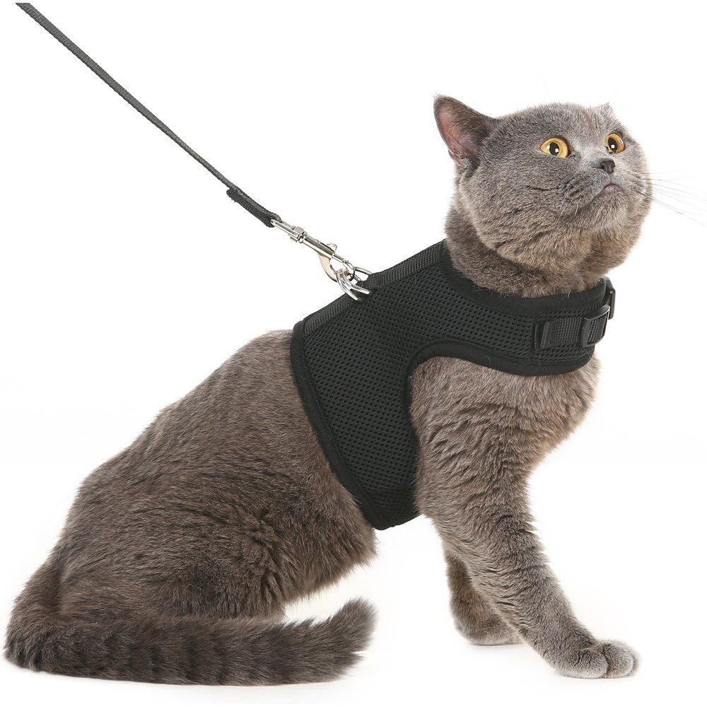 Pupteck Soft Mesh Cat Vest Harness And Leash Set Puppy Padded Pet Harnesses Escape Proof For Cats Small Dogs Rabbits Bunny, Black Large
