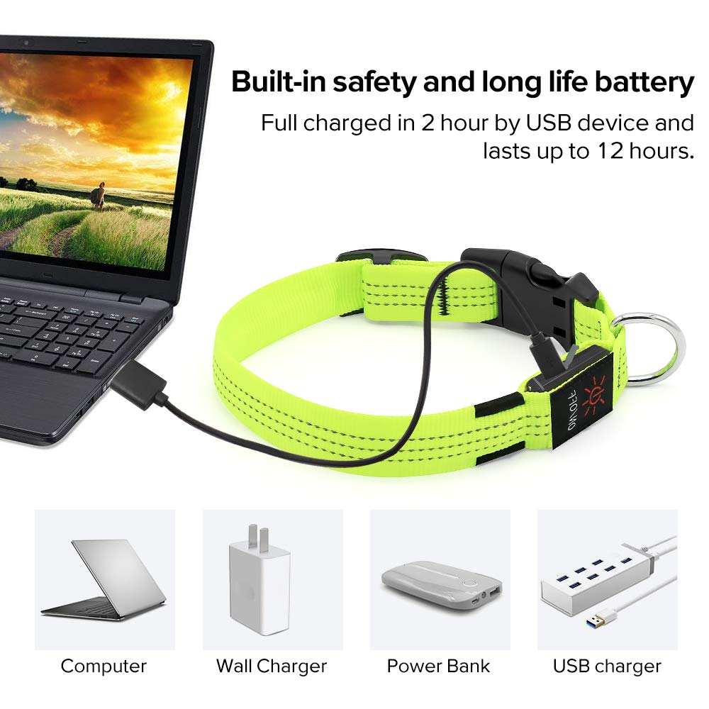 Illumifun Light Up Dog Collar, Usb Rechargeable Led Dog Collars Glow In The Dark, Reflective Glowing Safety Collar Light For Your Large Dogs Walk At Night (Greenⅲ, Large)