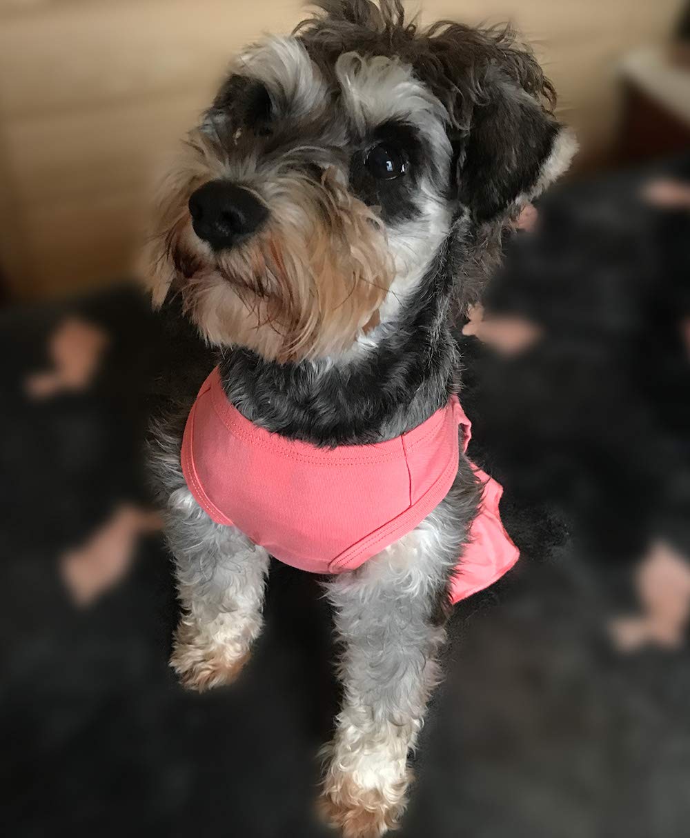 Lovelonglong 2019 Dog Dress Sports Tee-Dresses Tanks Top For Miniature Small Size Female Dogs 100% Cotton M Lotuspink