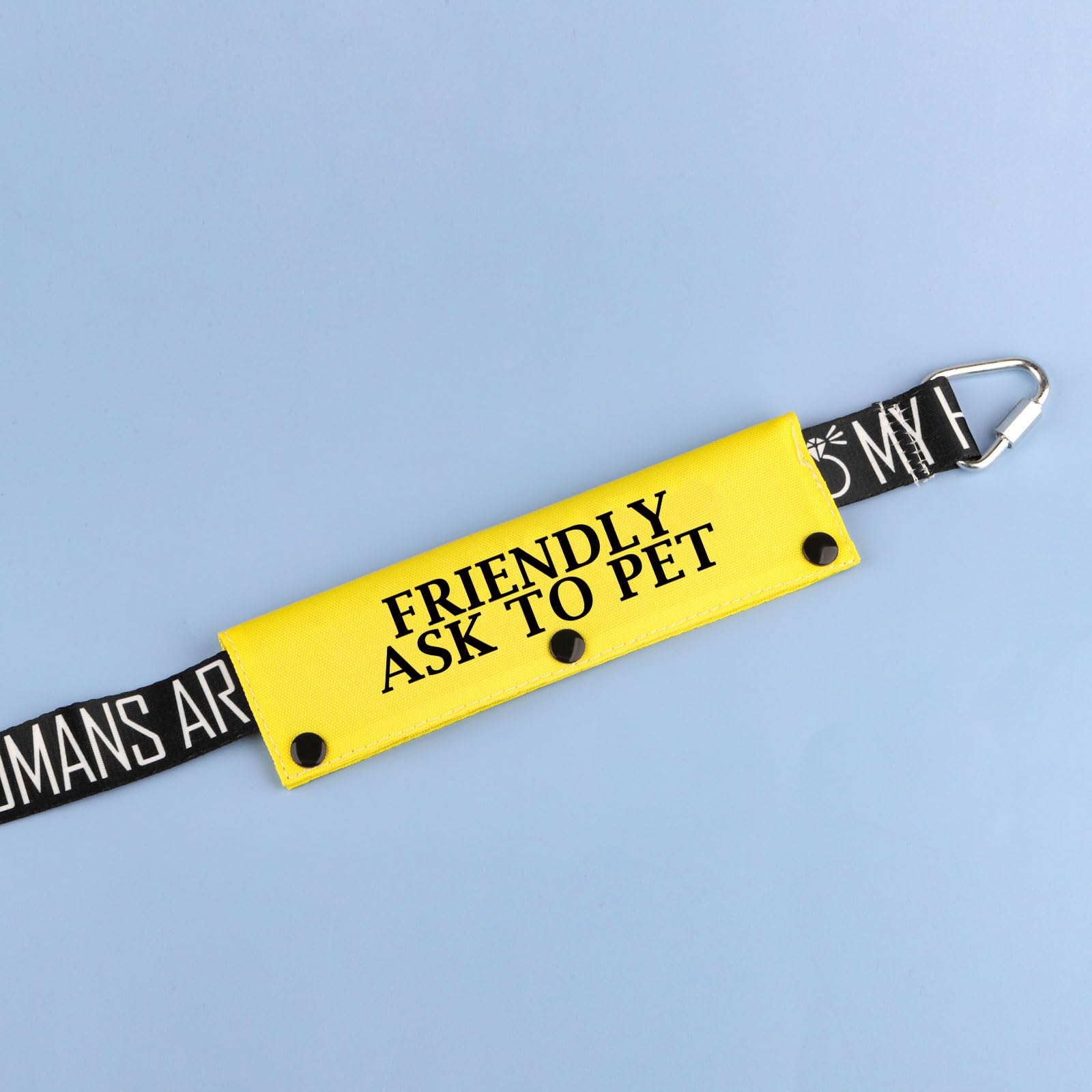 Special Needs Dog Leash Sleeve Friendly Ask To Pet Dog Leash Wrap Sleeve Alert Tag Pet Birthday Gift (Friendly Ask To Pet-Ye Sle