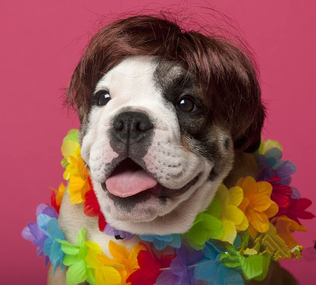 Dog Wig Pet Costumes, Cat Costume Synthetic Accessories Small Dog Headwear For Halloween Christmas Eve Festival Party Decor, Head Wear Apparel Toy (B)