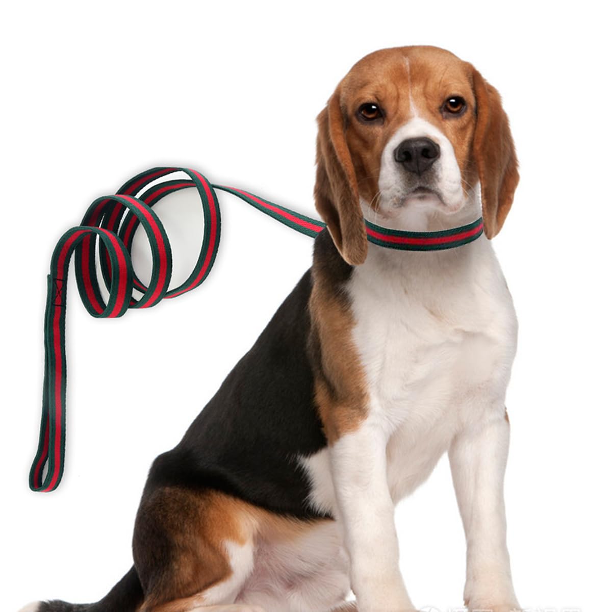 Premium Dog Collar, Cute Dog Collars Luxury Style, Durable Pet Collars And Dog Leash With Metal Buckle Safety For Medium Dogs