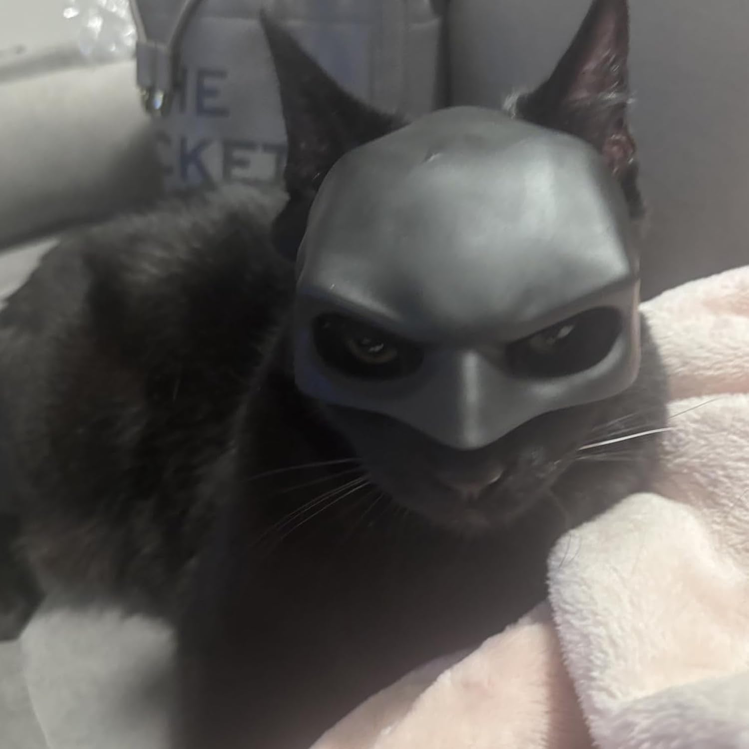 Cat Mask Cosplay, Cat Cosplay Hat, Cat Mask For Halloween Cosplay, Funny Cat Costumes Accessories (Large)