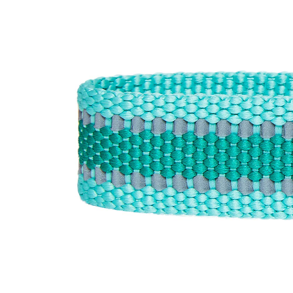 Blueberry Pet Essentials Reflective Back To Basics Adjustable Dog Collar, Minty Green, Medium, Neck 14.5'-20'
