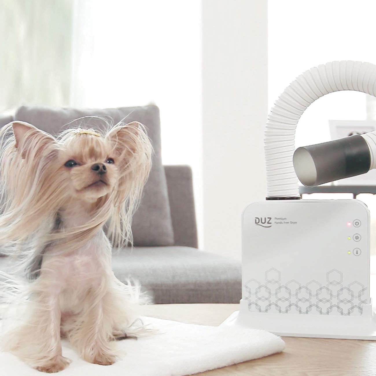 DUZ V2 Super Quiet Pet Dryer - Low-Noise Dog & Cat Grooming Tool, Medium Size, White, Model iMD-1000T, 1-Year Warranty