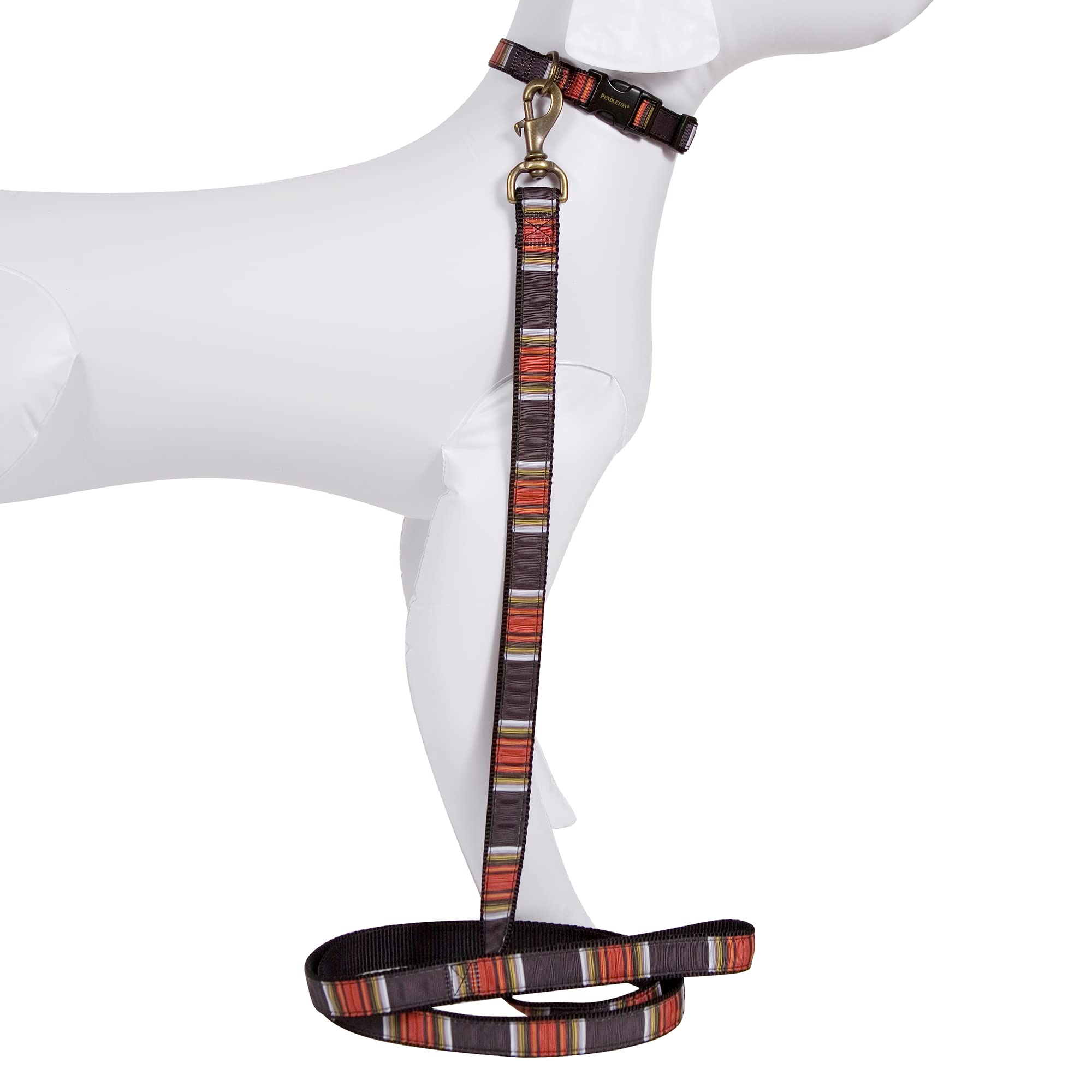 Pendleton Pet National Park Hiker Collar (Xl, Acadia)