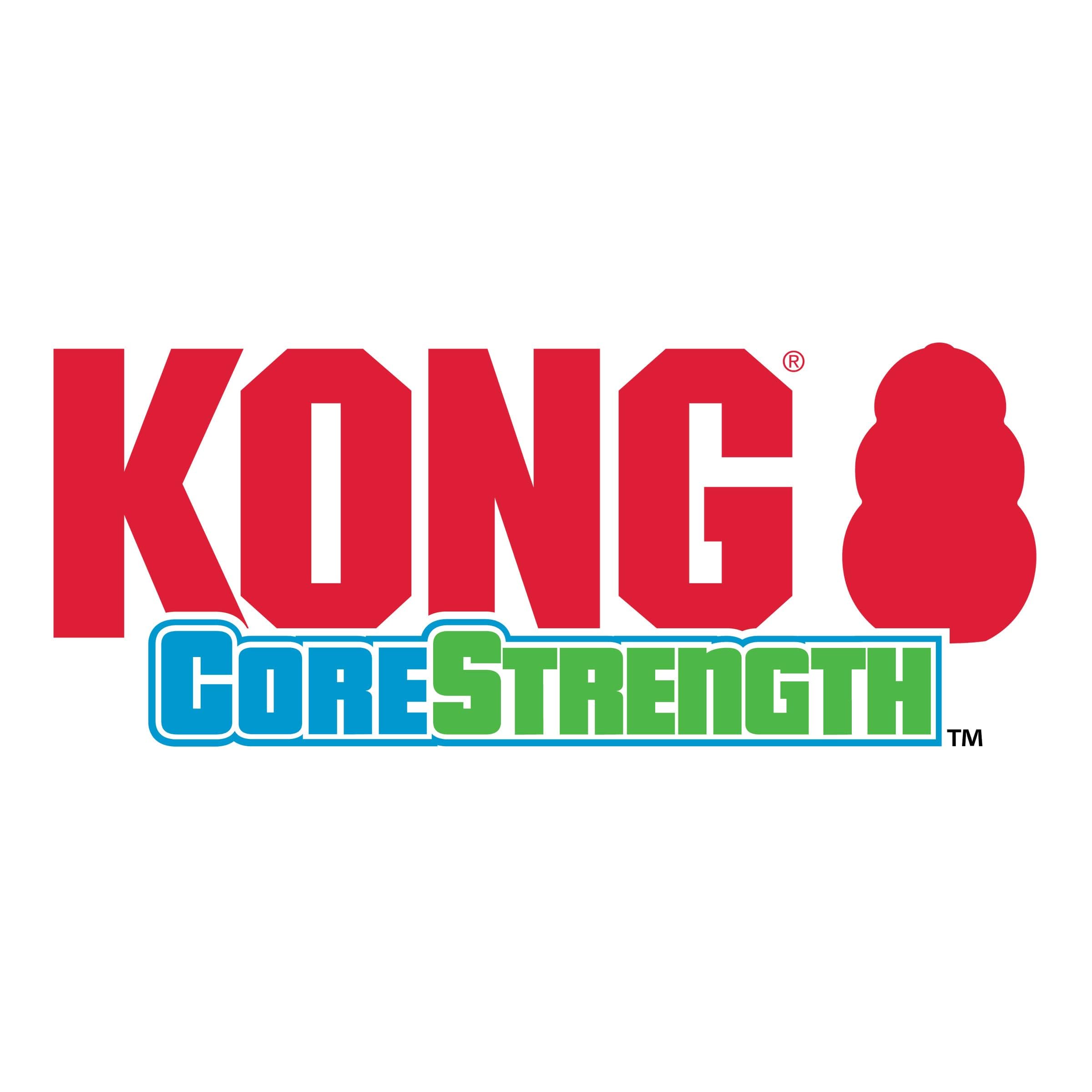 KONG CoreStrength Bone - Dog Dental Chew Toy - Durable, Multi-Layered Dog Toy for Enrichment Play & Dental Care - with Textured