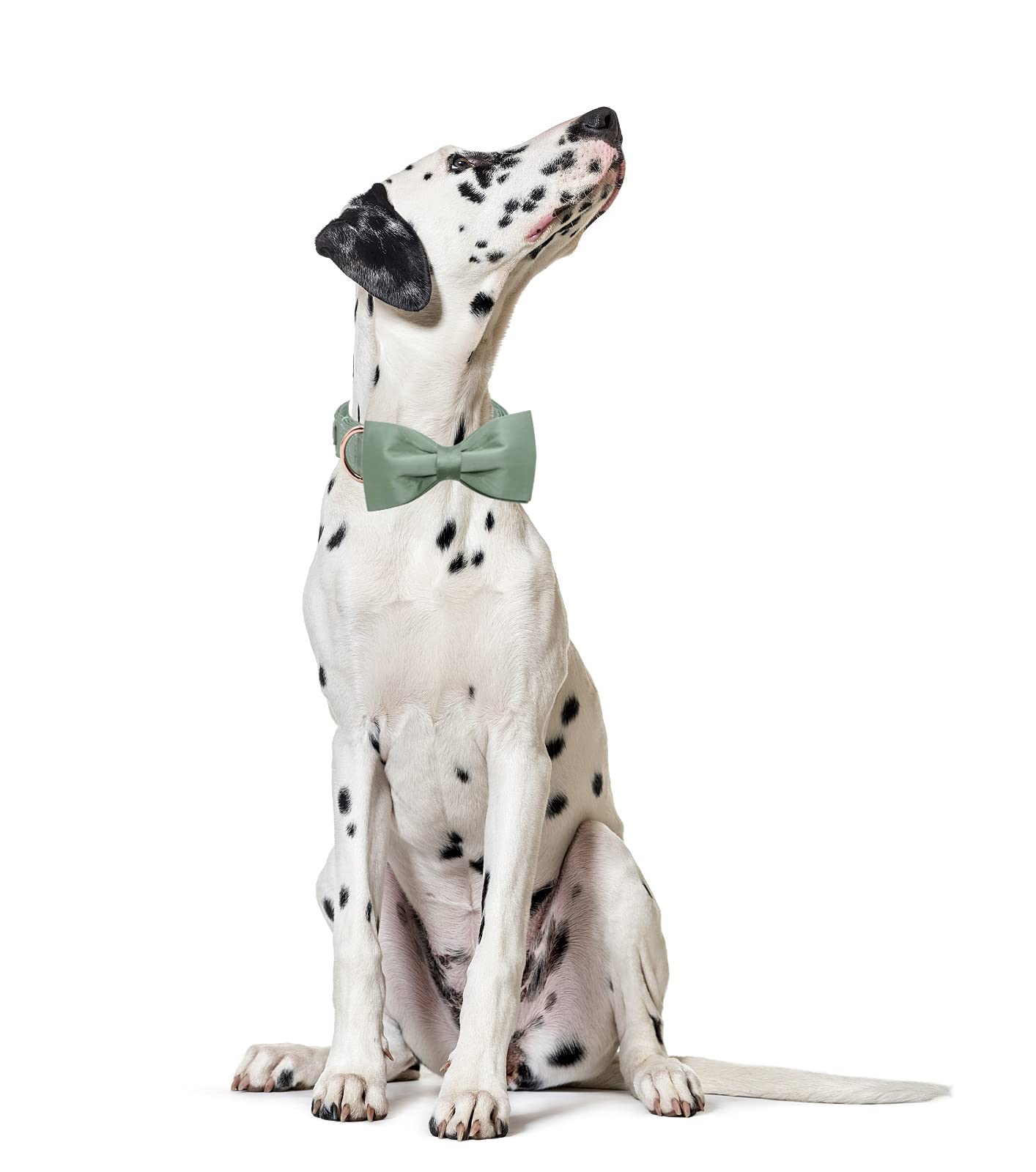 Lionet Paws Dog Collar Bowtie - Comfortable Silk Green Dog Collar With Detachable Bow Tie For Puppy And Cat, Neck 8-12 Inches