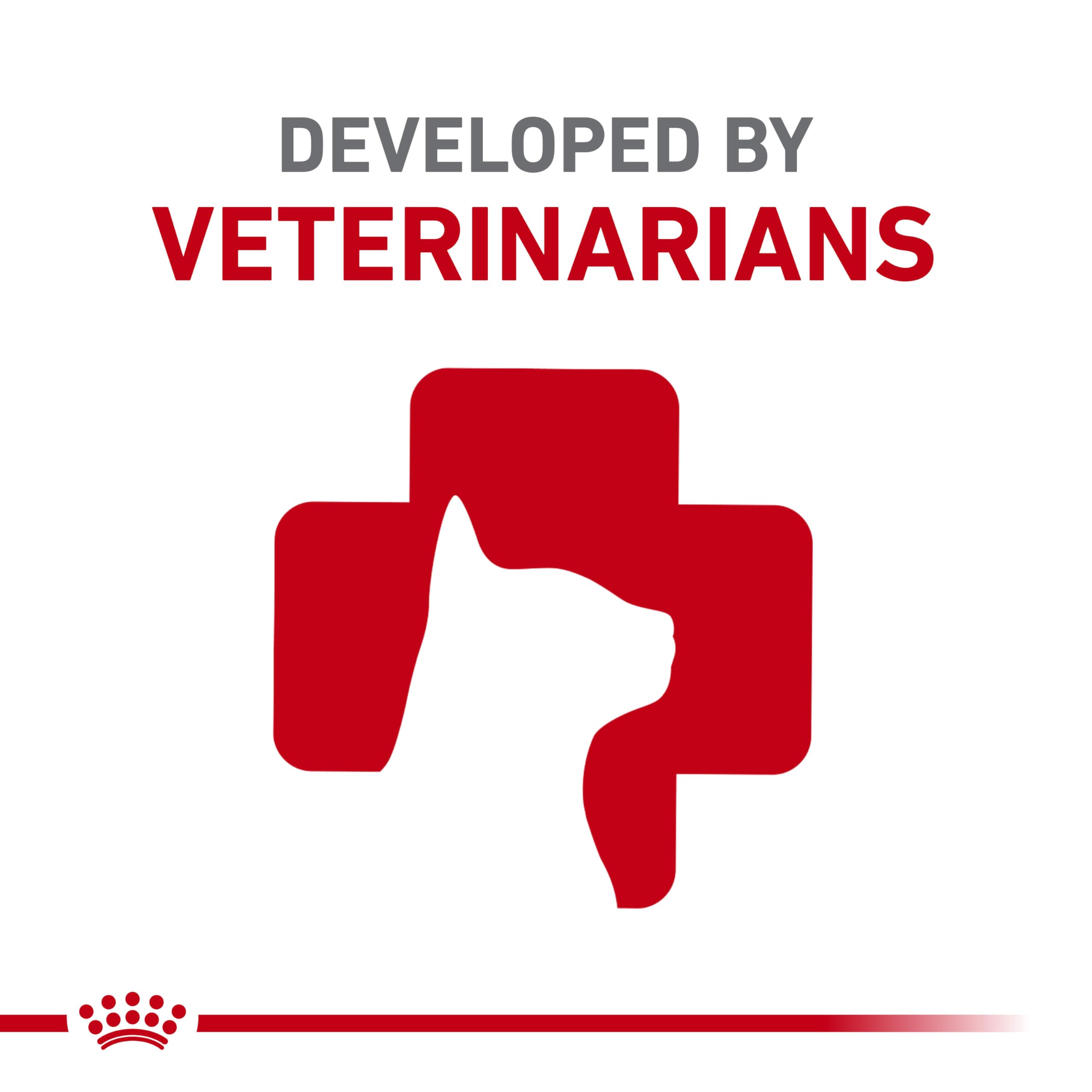 Royal Canin Feline Digestive Care Thin Slices in Gravy Wet Cat Food, 3 oz can (24-count)
