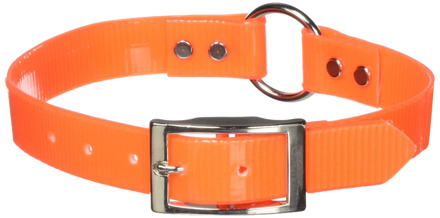 Omnipet Sunglo Ring-In-Center Dog Collar, 1' Wide, Orange, Fits 16'- 19.5' Neck Sizes, Vibrant Colors & Tough Construction Fo