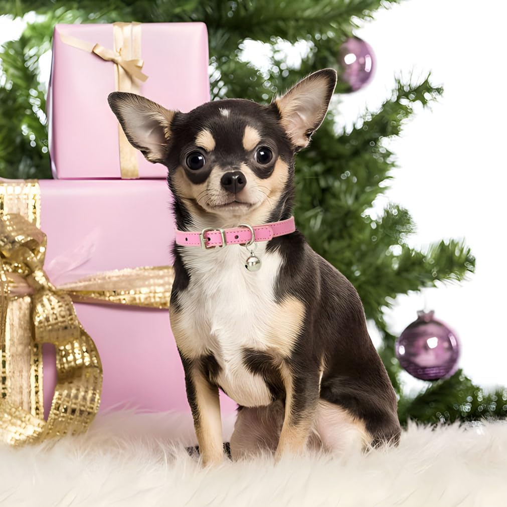 Gold Mefium Dog Collar With Bell,Soft Pu Leather Pet Collar Bells Adjustable Buckle For Xxs Extra Small Medium Tiny Male Boys Pe