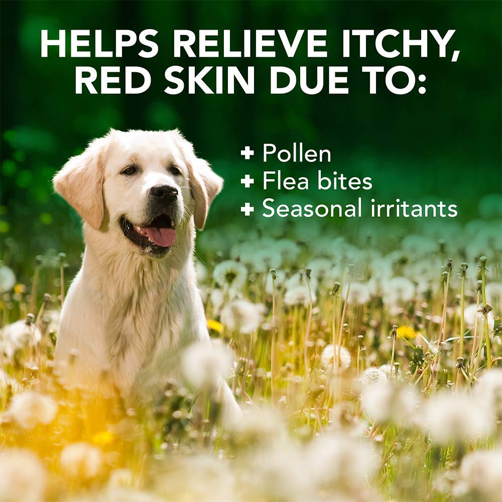 Vet'S Best Allergy Itch Relief Dog Shampoo | Cleans And Relieves Discomfort From Seasonal Allergies | Gentle Formula | 16 Oz