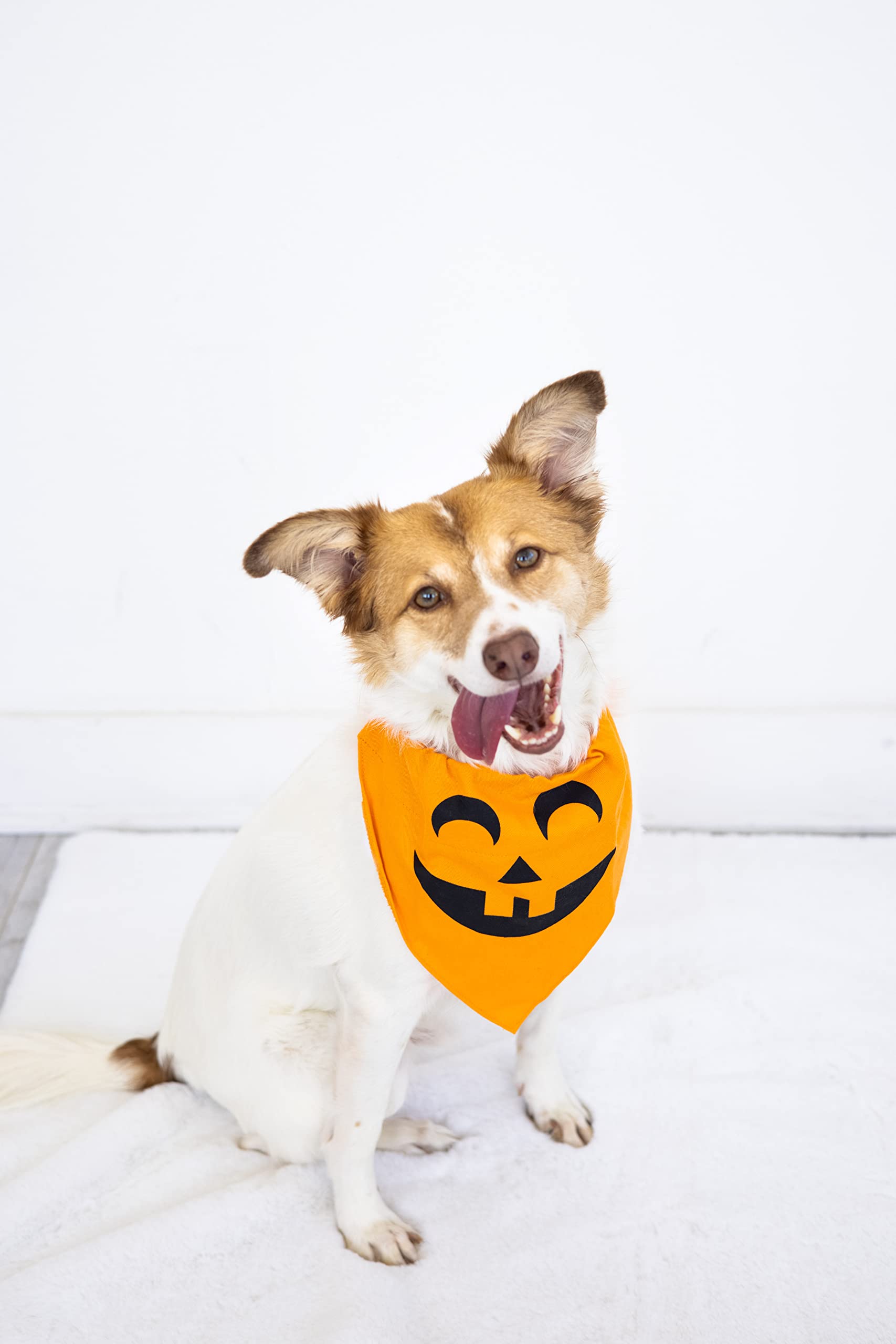Pearhead Pumpkin Dog Bandana - Fall Dog Apparel, Halloween Costume, Slip On Collar Accessory - Medium/Large