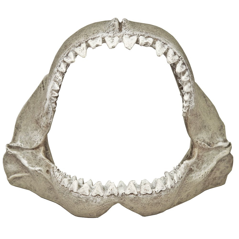 Blue Ribbon Pet Products Resin Aquarium Ornament - Great White Shark Jaws Small, 6 L X 35 D X 5 H Inch