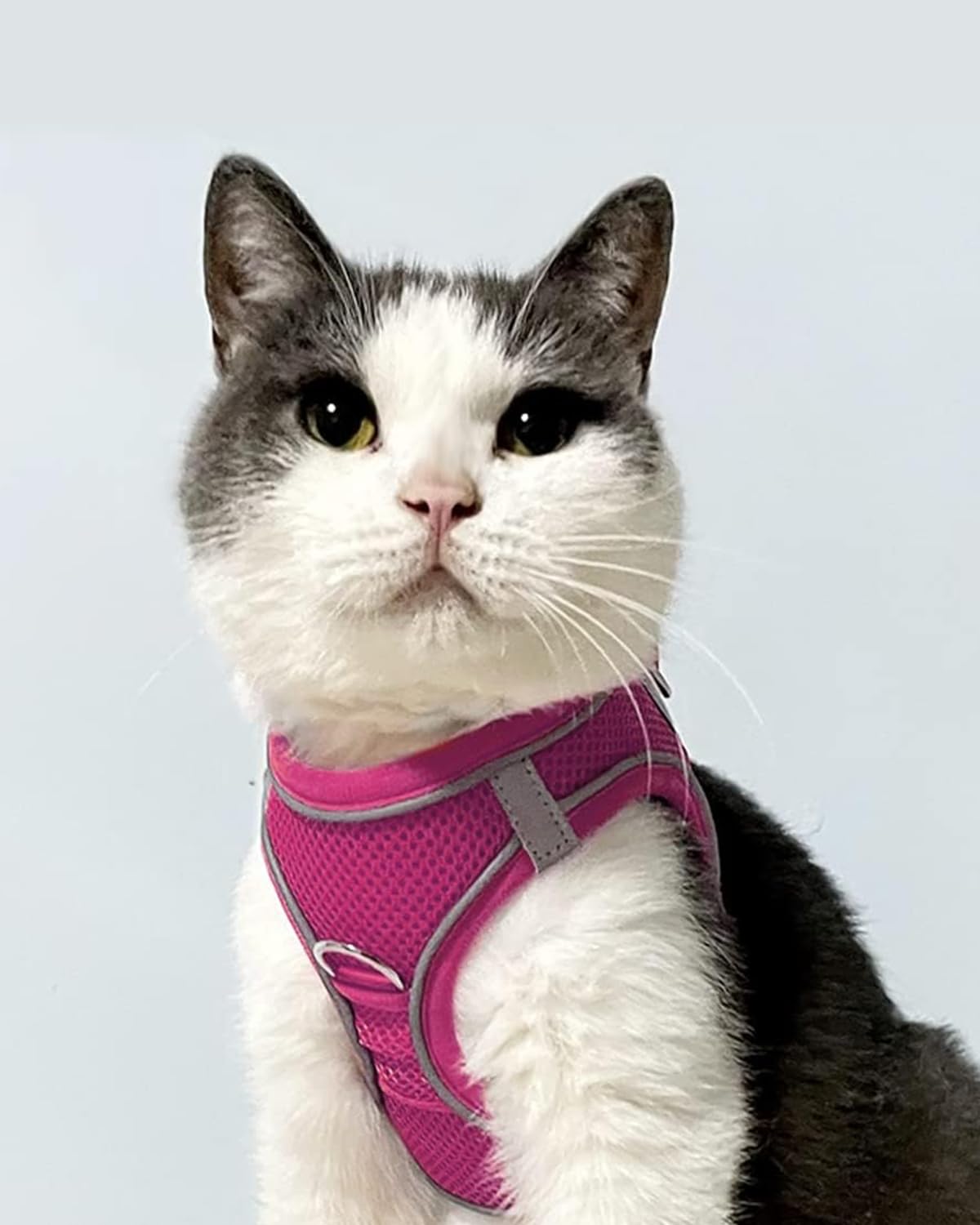 Joytale Small Dog Harness, Breathable Mesh Step-In Vest, Reflective Soft Padded Harnesses For Cats, Puppies And Extra Small Dogs