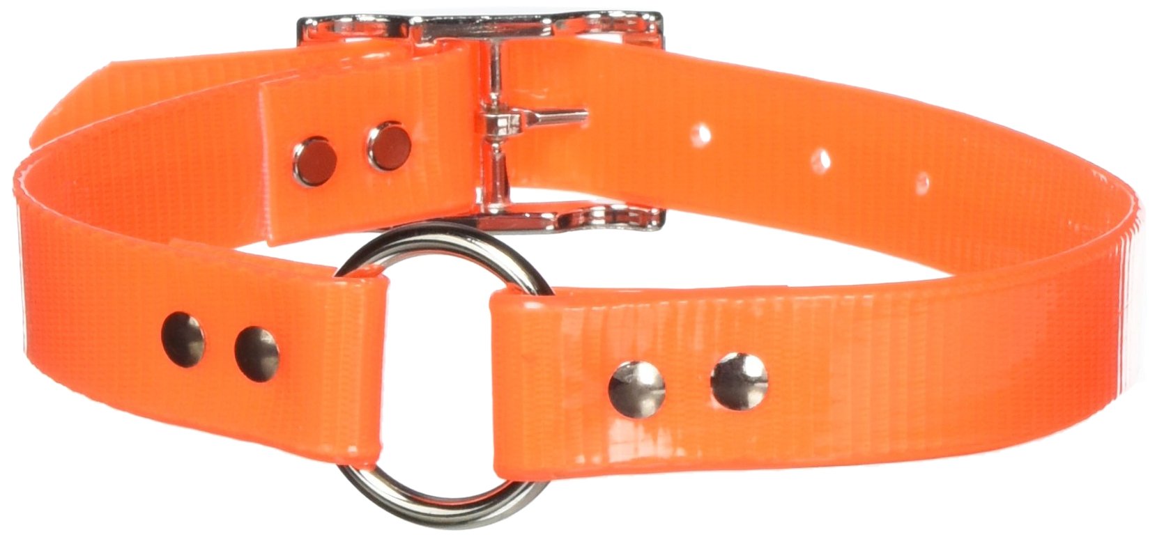 Omnipet Sunglo Ring-In-Center Dog Collar, 1' Wide, Orange, Fits 16'- 19.5' Neck Sizes, Vibrant Colors & Tough Construction Fo