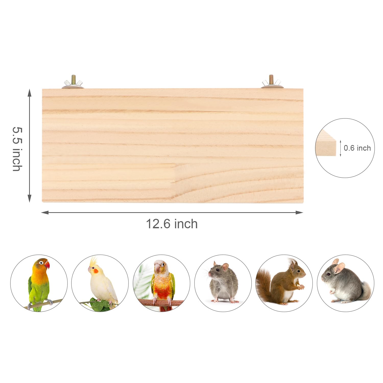 Wontee Bird Perch Stand Wooden Platform For Cockatiels Conures Rats Gerbils Chinchillas Squirrels (M)