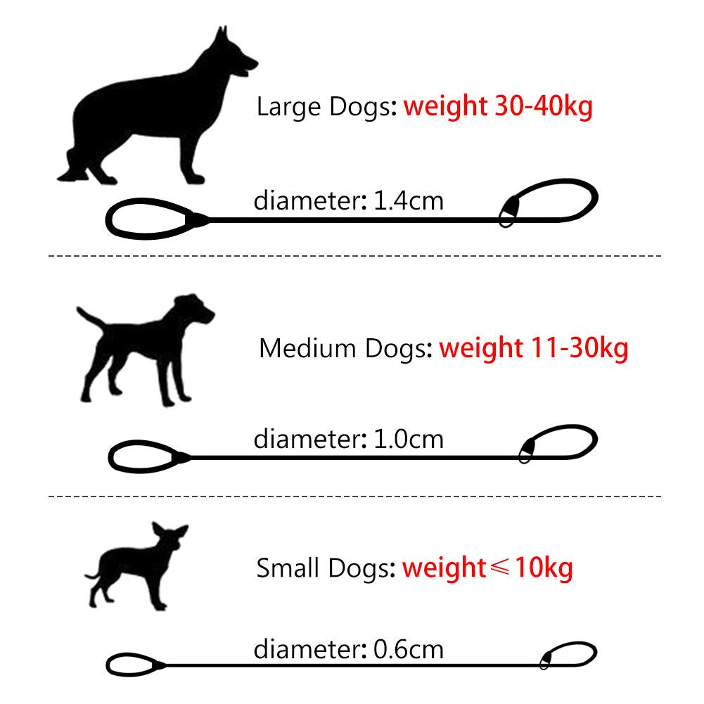 Grand Line Slip Lead Dog Leash, 5Ft Reflective Slip Rope, Puppy Training Walking Controlling Lead, Slip Collar Pet Leash For Small, Medium, Large Dogs (Blue, Large-3/5In X 5Ft)